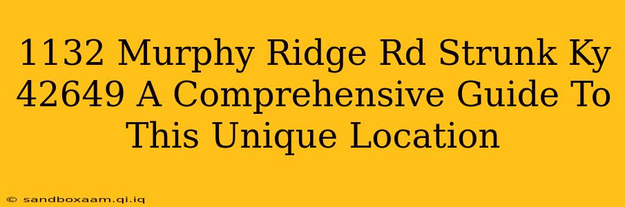 1132 Murphy Ridge Rd Strunk Ky 42649 A Comprehensive Guide To This Unique Location