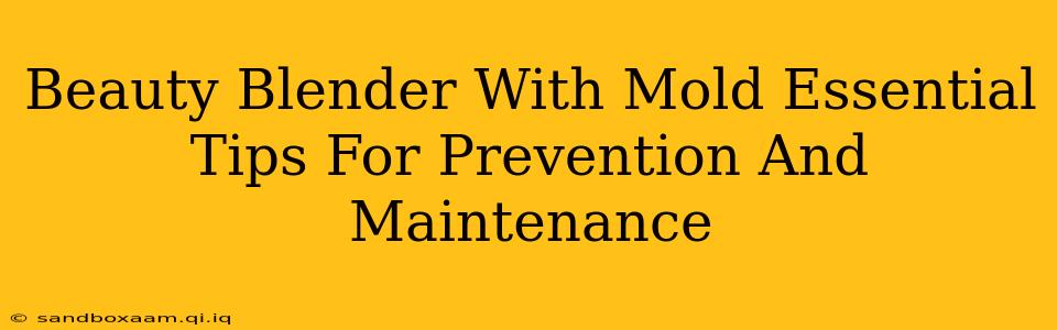Beauty Blender With Mold Essential Tips For Prevention And Maintenance