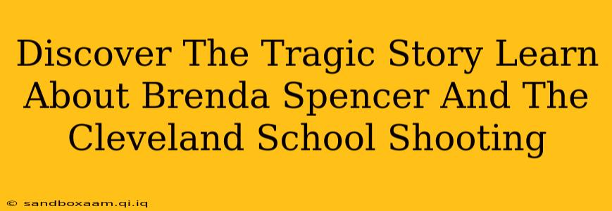 Discover The Tragic Story Learn About Brenda Spencer And The Cleveland School Shooting