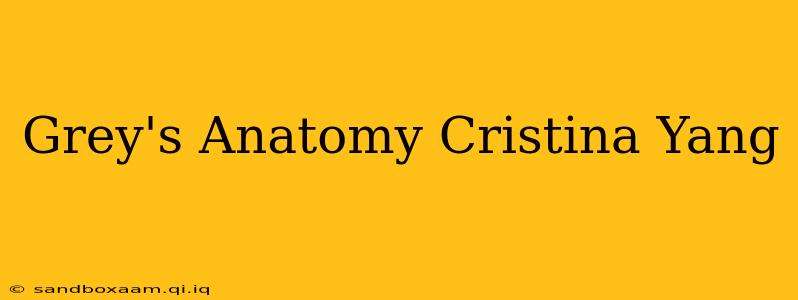 Grey's Anatomy Cristina Yang