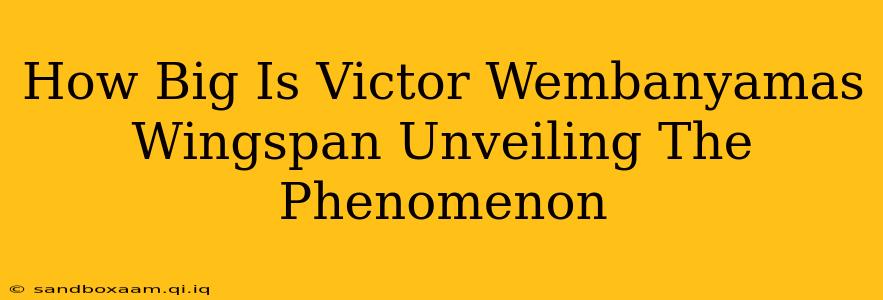 How Big Is Victor Wembanyamas Wingspan Unveiling The Phenomenon