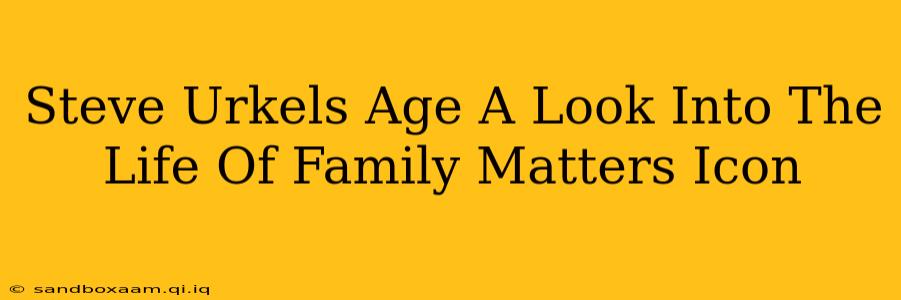 Steve Urkels Age A Look Into The Life Of Family Matters Icon