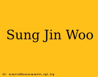 Sung Jin Woo