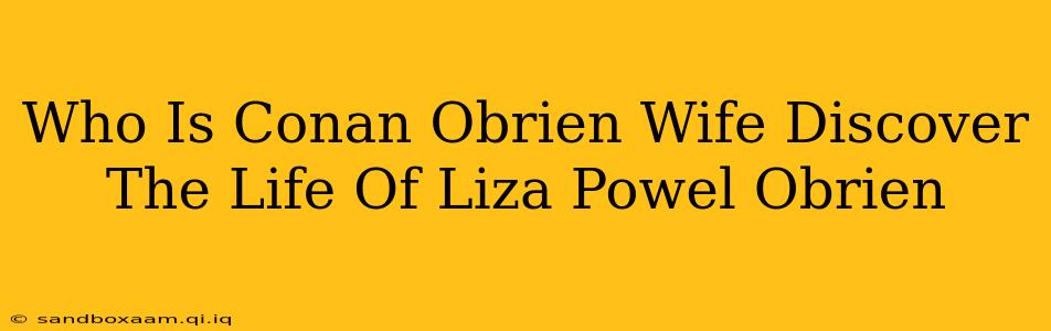 Who Is Conan Obrien Wife Discover The Life Of Liza Powel Obrien